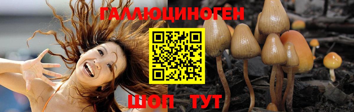 сколько стоит  Псилоцибиновые грибы прущие грибы  Вход с VPN  Симферополь 